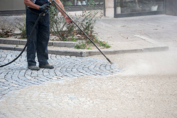 Best Animal Enclosure Cleaning  in Closter, NJ